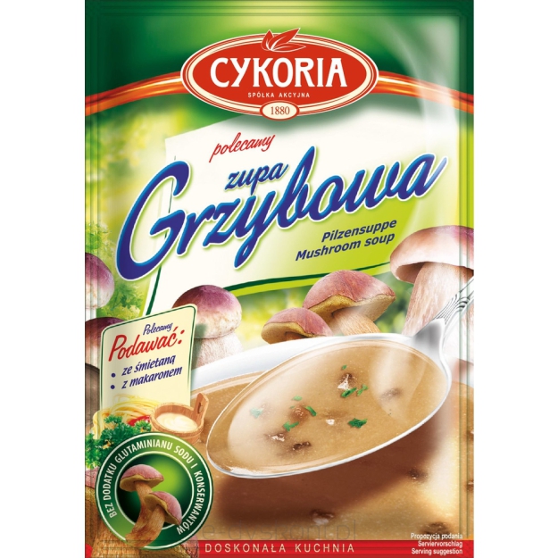 Cykoria Zupa Grzybowa 40G 