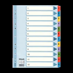 Esselte Przekładki kartonowe Mylar A4  biały 1-12