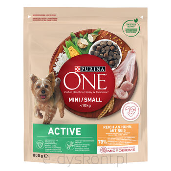 Purina One Mini Active Karma Dla Psa Kurczak Ryż 800G