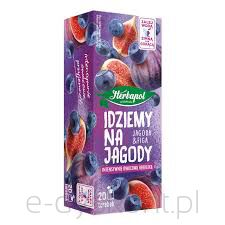 Herbapol Lublin Idziemy na jagody 20 tb. x 2g