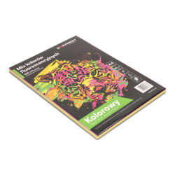 Papier Ksero A4 MIX fluorescencyjny XEM1002N, opak.=100arkuszy(4 kolory X 25arkuszy)