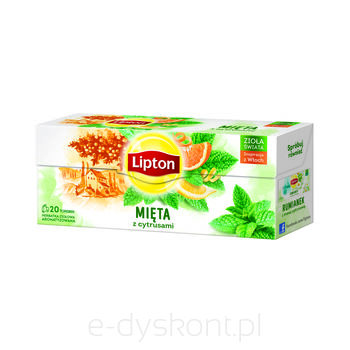 LIPTON CITRUS MINT 20SER PL