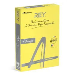 Rey Adagio Papier ksero A4, 80gsm, 66 żółty intense *RYADA080X425 R200, 500 ark.