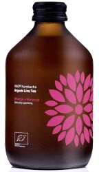 Vero Kombucha Mango + Marakuja Bio 330 Ml