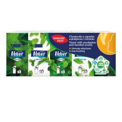 Velvet Chusteczki higieniczne Eukaliptus i mentol, 4-warstwowe, 10x10szt., białe