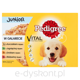 Pedigree Junior 12X100G