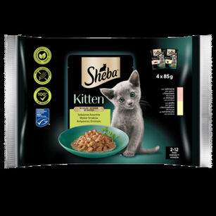 Sheba Kitten Mokra karma pełnoporcjowa dla kociąt z łososiem 4x 85g= 340g