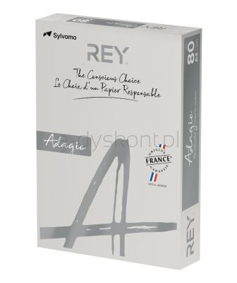 Rey Adagio Papier ksero A4, 80gsm, 06 szary vive/bright *RYADA080X409 R100 [BIURO]