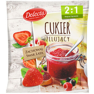 Delecta Cukier Żelujący 2:1 500G 