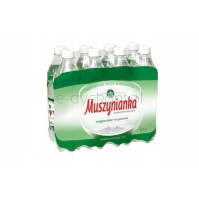 Muszynianka Woda Plus Naturalna częściowo odgazowana, wysokozmineralizowana , niskonasycona CO2 0,6 l SK