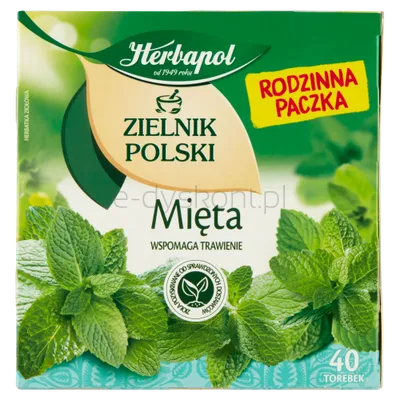 Herbapol Zielnik Polski Mięta 40Torebek X 2G