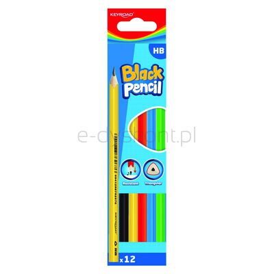 Keyroad Ołówek drewniany HB, kolorowa obudowa, 12 szt., pudełko, mix kolorów
