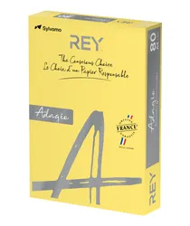 Rey Adagio Papier ksero A4, 80gsm, 58 żółty cytrynowy intense *RYADA080X411 R100