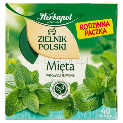 Herbapol Zielnik Polski Mięta 40Torebek X 2G