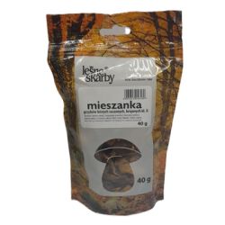 Leśne Skarby Mieszanka Suszonych grzybów leśnych 40g