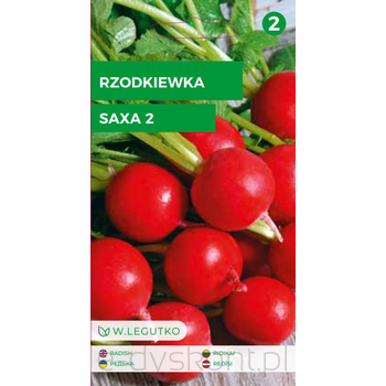 Rzodkiewka Saxa 2 - Okrągła, Czerwona  4+1,00G  Seria Bazowa Legutko