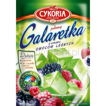 Cykoria Galaretka Owoce Leśne 75G 