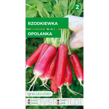 Rzodkiewka Opolanka - półdługa, czerwona z białym końcem 4,00 Legutko