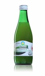 Biofood Sok Z Ogórka KiSzamponego B/C Bio 300 Ml