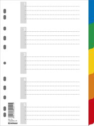 Donau Przekładki  Pp, A4, 225X297Mm, 5+1 Kart, Mix Kolorów