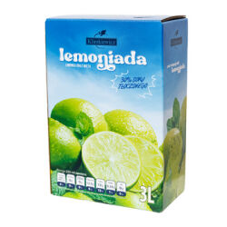 Klimkiewicz Lemoniada limonka oraz mięta 3 l