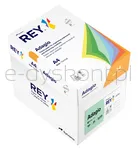 Papier ksero REY ADAGIO, A4, 160gsm, 09 zielony pastel *RYADA160X478 R100, 250 ark. - 3